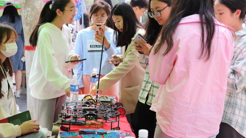 大数据分析算法：从入门到精通的路径解析