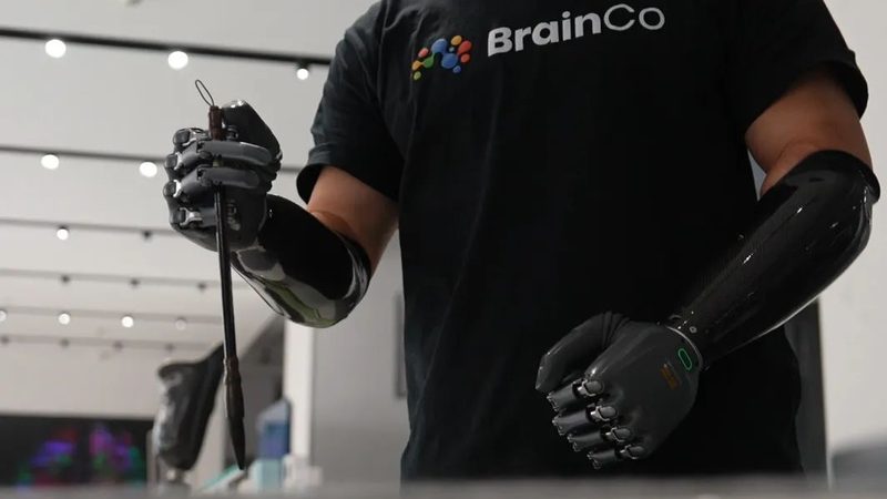 洛阳网络科技有限公司